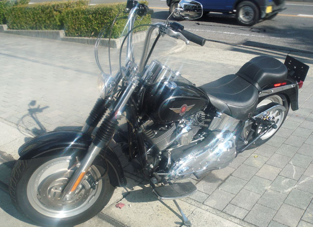 Harley-DavidsonFLSTF3